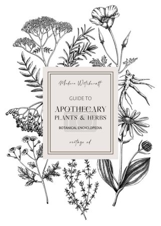Apothecary plant frame design. Witchcraft book cover. Herbal remedies, medicinal plant, natural medicine hand-drawn vector illustration. Vinatge herbs background. NOT AI genereted