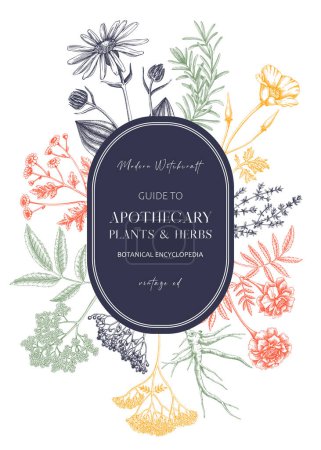 Apothecary plant wreath design. Witchcraft background. Herbal remedies, medicinal plant, witch herbs, natural medicine hand-drawn vector illustration in color. NOT AI genereted