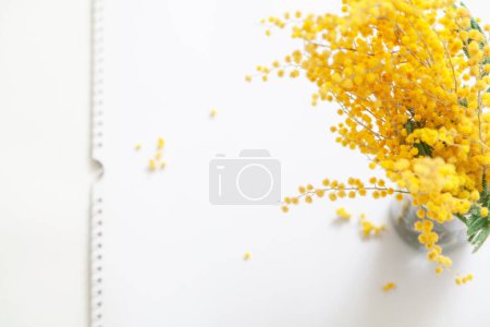 Foto de Spring came. Branch of yellow mimosa on a white background top view. Left sheet with tear-off calendar perforatio - Imagen libre de derechos