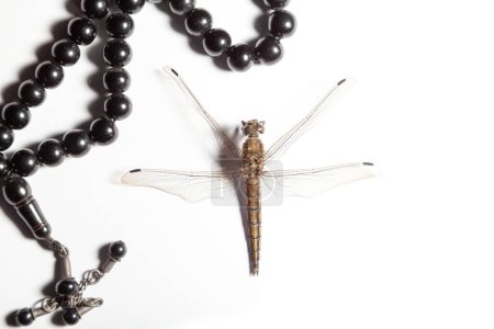 A large dragonfly on a white background next to a black rosary. The pattern on the four wings is clearly visibl