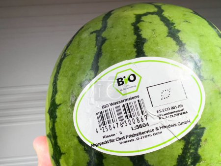 Photo for Frankfurt, Germany - Oct 8, 2022: Close-up of Bio Wassermelone organic fruit in male hand - certified watermelon - Royalty Free Image