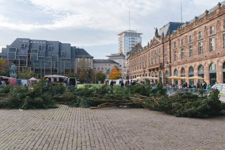 Téléchargez les photos : Strasbourg, France - 28 oct. 2022 : Des succursales prêtes pour l'installation de l'arbre de Noël annuel dans le centre de Strasbourg, Place Kleber - en raison de la crise énergétique, la ville se passe de la moitié de la - en image libre de droit