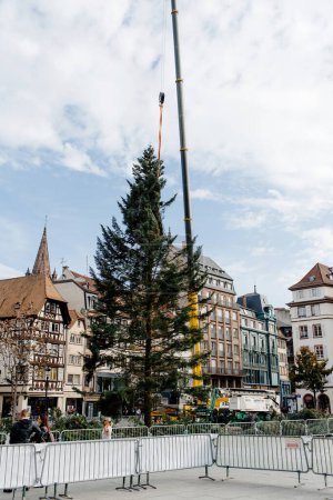 Téléchargez les photos : Strasbourg, France - 28 oct. 2022 : Installation de l'arbre de Noël annuel dans le centre de Strasbourg, Place Kleber - en raison de la crise énergétique, la ville se passe de la moitié des lumières précédentes cette année - en image libre de droit