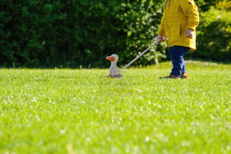 Foto de Young toddler in a yellow vest and blue pants with push-along duck toy on green lawn - defocused background - Imagen libre de derechos