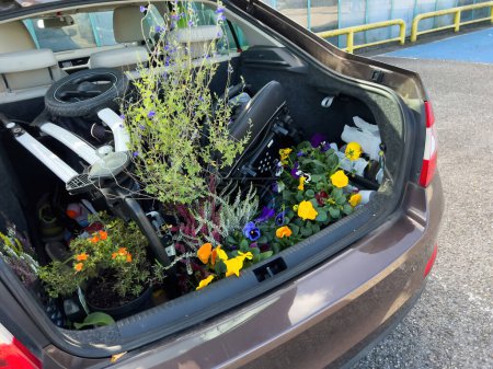 Foto de Rear view of car trunk full with pots containing flowers and baby stroller - large transportation of diverse goods in family car - Imagen libre de derechos