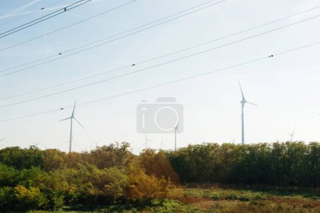 Foto de 13 aerogeneradores que producen electricidad por encima del bosque con múltiples líneas eléctricas de alto voltaje por encima de ellos - ubicación del bosque verde - Imagen libre de derechos