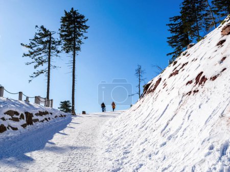Téléchargez les photos : Vue arrière d'un couple méconnaissable marchant dans l'escalade de la neige dans les montagnes sans équipement spécial hiver froid ciel bleu clair randonnée par temps clair en Allemagne - en image libre de droit