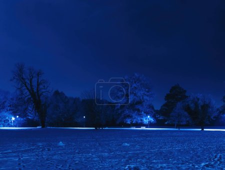 Photo for As night falls, a wintery forest is illuminated by the fading sky. Snow traces the silhouetted trees as blue dusk sets in and reveals an empty park - Royalty Free Image