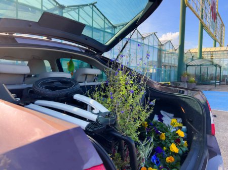 Photo for A car with its trunk open, parked in front of a florist store. Inside the trunk is a flowering plant, providing an alternative mode of transportation for the vehicle. - Royalty Free Image