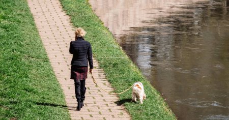 Foto de Una mujer paseando a su perro mascota por un canal en un día soleado, hablando por teléfono y rodeada de plantas verdes por encima de la vista aérea - Imagen libre de derechos