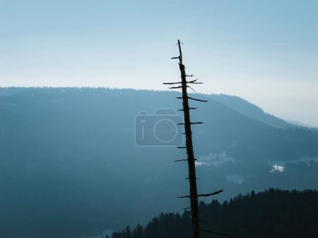 Téléchargez les photos : Un paysage à couper le souffle d'une chaîne de montagnes brumeuses avec des arbres brûlés silhouettés, contre un lac tranquille dans une nature sauvage intacte. - en image libre de droit