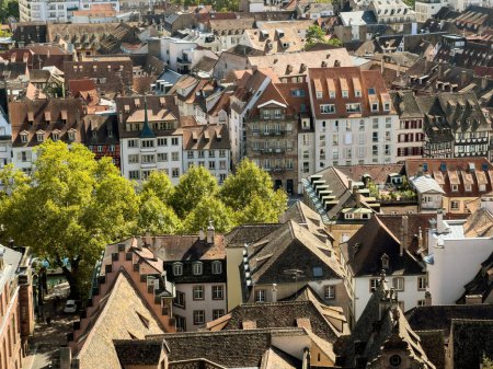 Photo for Discover the charm of Strasbourgs residential neighborhoods with this high angle view of the cityscape. Experience the beauty of Alsace from above. - Royalty Free Image