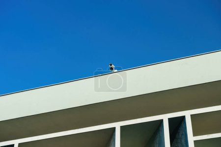Téléchargez les photos : Un toit conceptuel avec caméras de vidéosurveillance donne sur l'architecture ci-dessous, le ciel bleu ajoutant au sentiment de surveillance constante. - en image libre de droit