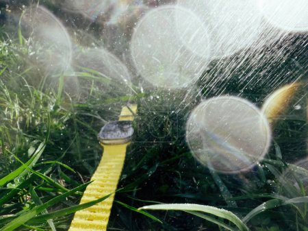 Téléchargez les photos : Lors d'une forte pluie d'été, une montre IoT professionnelle est laissée dans le jardin, se parant de gouttelettes d'eau et d'éclaboussures. - en image libre de droit