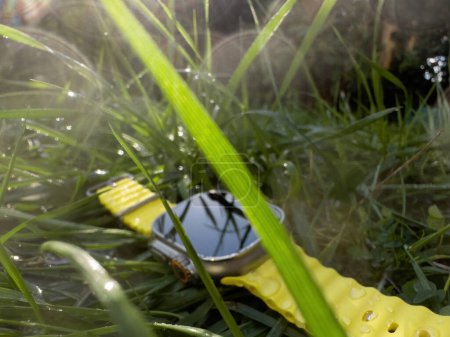 Photo for Viewed through blades of grass, a professional IoT watch is conspicuously left unattended in the garden. - Royalty Free Image