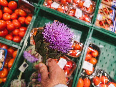Téléchargez les photos : Une personne tenant un artichaut en fleur avec des pétales violets vibrants, contrastant avec des caisses remplies de tomates fraîches acheter pour le supermarché de légumes biologiques - en image libre de droit