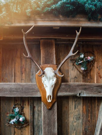 Téléchargez les photos : Une image hipster colorée et vintage met en valeur un crâne de renne sur un mur, juxtaposé à des décorations de Noël vibrantes, fusionnant ancien avec nouveau - en image libre de droit