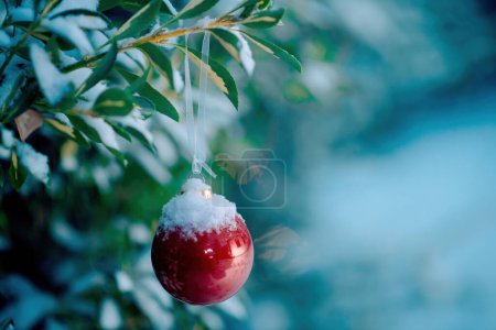 Photo for A lone red glass globe covered with snowflakes, hanging from a branch in a snowy winter scene, creating a serene and festive atmosphere - Royalty Free Image