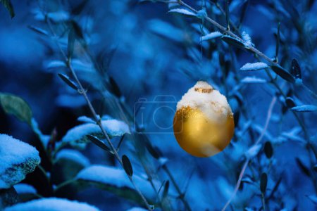 Foto de Un globo invernal dorado se encuentra en un jardín cubierto de nieve, ofreciendo una escena única y encantadora para la comercialización o una postal de temporada. - Imagen libre de derechos