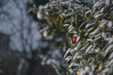 Photo for A red glass globe nestled in tree branches with a defocused bokeh of lights, creating an enchanting and festive atmosphere - Royalty Free Image