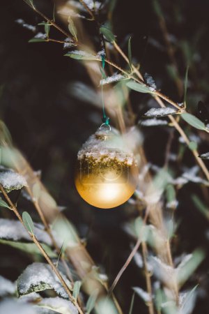 Foto de Imagen similar a una postal de un globo dorado cubierto con una capa de nieve encaramada en un árbol de hoja perenne, tarjeta de felicitación lista - Imagen libre de derechos