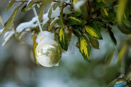 Téléchargez les photos : Un globe en verre réfléchissant recouvert de neige reflète une maison, symbolisant les préparatifs de Noël en hiver - en image libre de droit