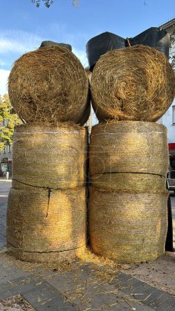 Foto de Cuatro grandes fardos de heno se apilan en parejas en una acera de la ciudad, aportando un toque de encanto de cosecha rural a un entorno urbano durante la temporada de otoño.. - Imagen libre de derechos