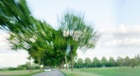 Foto de Esta imagen captura el desenfoque del movimiento de los árboles verdes que bordean un camino rural, creando una impresión de alta velocidad o viento, tomada durante las horas de la noche. - Imagen libre de derechos