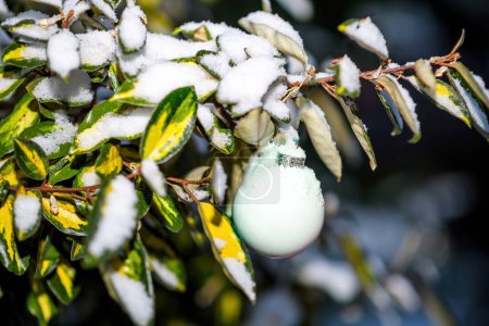 Foto de Una fotografía de escena real en flash capturando un juguete navideño cubierto de nieve en un arbusto en el jardín con un fondo desenfocado - Imagen libre de derechos