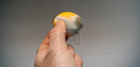 Photo for Male hand holds a yellow lemon and extends it towards someone, against a gray background covered with fungal growth, symbolizing the act of sharing despite the decaying environment - Royalty Free Image