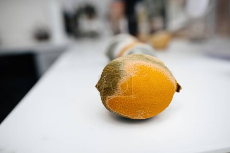 Téléchargez les photos : Un citron jaune moisi se trouve sur un luxueux comptoir de cuisine en marbre, montrant des signes de pourriture et de contraste dans le cadre élégant - en image libre de droit