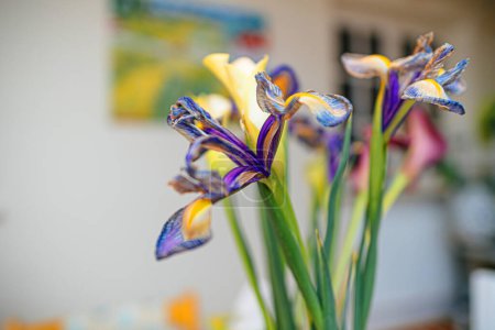 Téléchargez les photos : Un macro gros plan hypnotisant d'une fleur d'iris séchée, mettant en valeur sa beauté durable sur un fond doux et déconcentré, évoquant l'essence du printemps - en image libre de droit