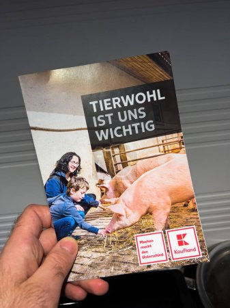 Téléchargez les photos : Paris, France - 9 mars 2022 : Brochure pour homme POV présentant divers types de classification pour la viande de porc et de poulet en Allemagne - informations sur les supermarchés Kaufland - en image libre de droit