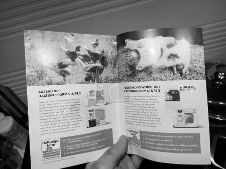 Téléchargez les photos : Paris, France - 9 mars 2022 : Brochure sur le maintien de la main des hommes POV avec divers types de classification pour la viande de porc et de poulet en Allemagne - Kaufland supermarket information - en image libre de droit