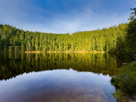 Der Mummelsee, ein großes Gewässer mit sattgrünem Baumbestand, schafft eine fesselnde Szene in der Natur
