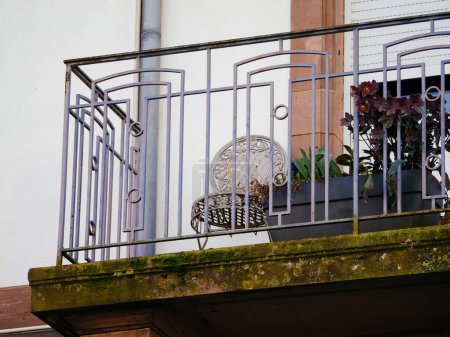 Foto de Un balcón con una maceta situada en la barandilla cuenta con una exuberante planta verde floreciendo bajo la luz del sol. - Imagen libre de derechos