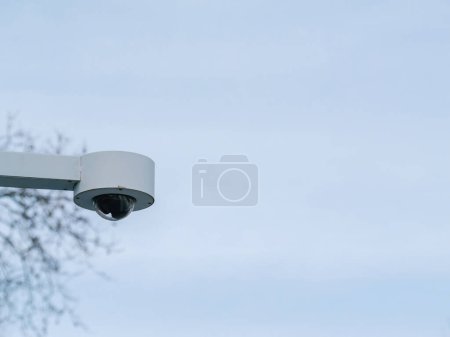 A camera fixed atop a pole faces a tree, its lens diligently capturing activity in the vicinity, ensuring comprehensive monitoring and security surveillance of the area.
