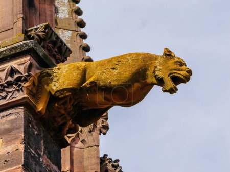 Photo for A solid bronze gargoyle lion statue guards the side of a historical building, showcasing intricate details and highlighting architectural significance. - Royalty Free Image