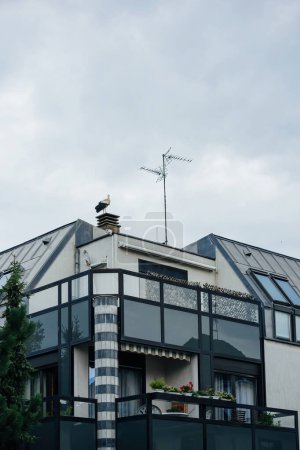Photo for A curious stork perches atop a chimney above a luxury apartment building in Strasbourg, its gaze seemingly intrigued by the bustling city life below, adding a touch of natural wonder to the urban - Royalty Free Image