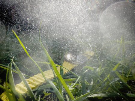 Téléchargez les photos : Plusieurs gouttelettes d'eau couvrent une montre intelligente perdue dans une forêt de parc de jardin, capturée avec un effet de fusée éclairante stupéfiant dans le tir - en image libre de droit