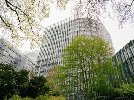 Spring foliage foregrounds the imposing glass facades of urban office buildings in a cityscape - business architecure