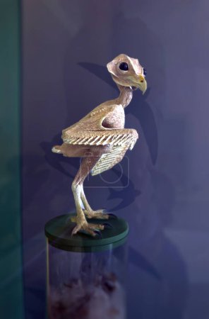 A featherless owl sits perched, showcasing its bare skin and unique appearance, representing a modern expression of nudity among animals and highlighting the vulnerability and beauty of nature.