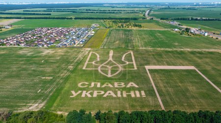 Foto de Tridente - escudo de armas de Ucrania en un campo de maíz. Inscripción Me encanta Ucrania. Vista aérea del dron. Símbolos nacionales de Ucrania - Imagen libre de derechos