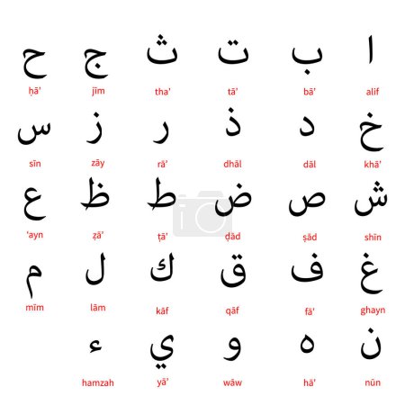 Ilustración de Hijaiyah letras árabes sobre fondo blanco, ilustración vectorial - Imagen libre de derechos