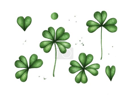 Foto de Four leaf clover. Green watercolor leave isolated on white background. Patricks Day design - Imagen libre de derechos