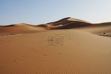 Téléchargez les photos : Beauté Erg Chigaga dune sur le désert du Sahara dans le sud-est africain MAROC, ciel bleu clair en 2023 chaude journée ensoleillée d'hiver en Janvier. - en image libre de droit