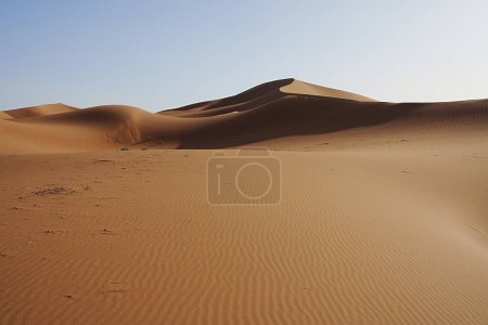Photo for Desolate Erg Chigaga dune in Sahara desert in african southeastern MOROCCO, clear blue sky in 2023 warm sunny winter day on January. - Royalty Free Image