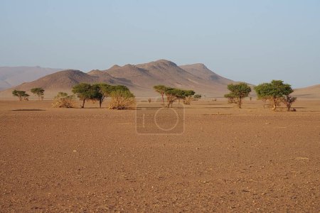 Photo for Desert and mountains between african towns Tissint and Foum Zguid in Souss-Massa of Morocco, clear blue sky in 2023 warm sunny winter day on January. - Royalty Free Image