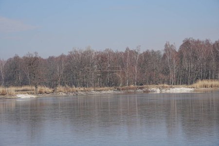 Wald spiegelt sich im Wasser des Zuchtteiches in der europäischen Stadt Goczalkowice in Schlesien, Polen, klarer blauer Himmel im Jahr 2022 warmer, sonniger Wintertag im März
