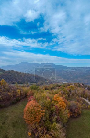 Photo for Vezzolacca Piacenza Italy scenic drone aerial view of autumn coloured tress forest - Royalty Free Image